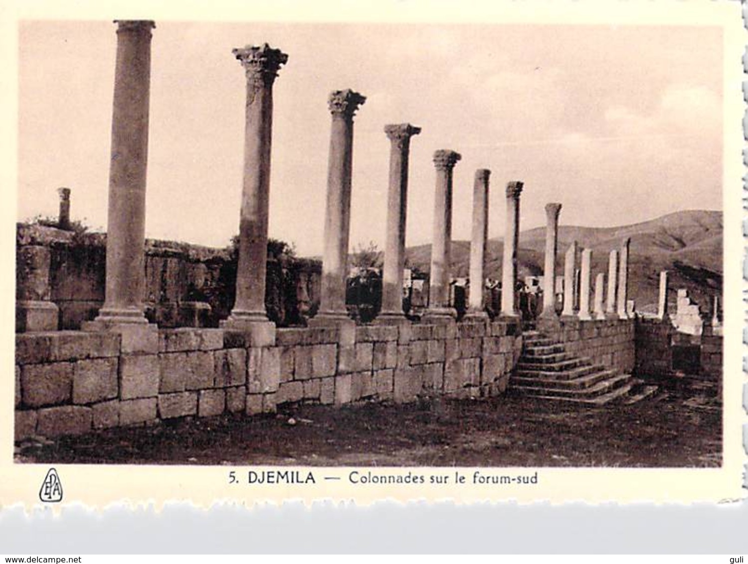 Afrique ALGERIE (wilaya De Sétif)  DJEMILA  Colonnades  Sur Le Forum-sud (cité Antique) -  Photo Albert EPA 5 *PRIX FIXE - Sétif