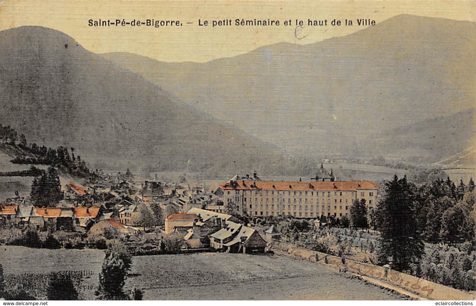 St Pé De Bigorre         65       Le Petit Séminaire Et Le Haut De La Ville        (voir Scan) - Saint Pe De Bigorre