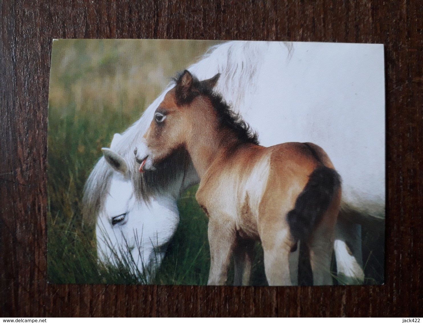 L20/168 Mini Calendrier Publicitaire. 2007. Chevaux . St Varent . Bar / Tabac / Presse - Klein Formaat: 2001-...