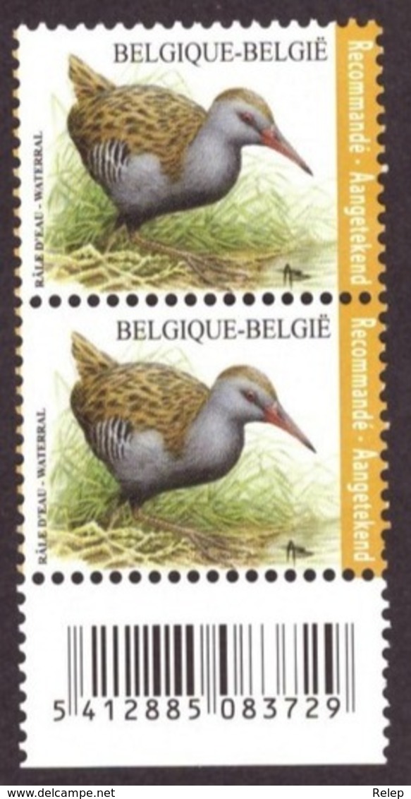 Belgique 2017 - Birds - Rallus Aquaticus  - MNH - Côte € 16.00 Registrered Letter Stamp - Nuevos