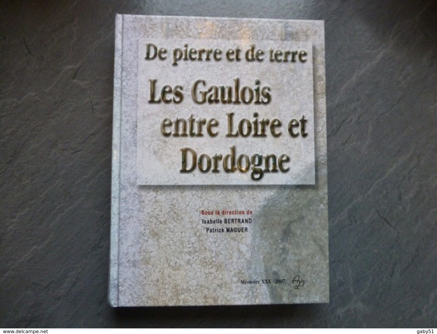 Les Gaulois Entre Loire Et Dordogne, I. Bertrand P. Maguer, 2007 ; L03 - Non Classés