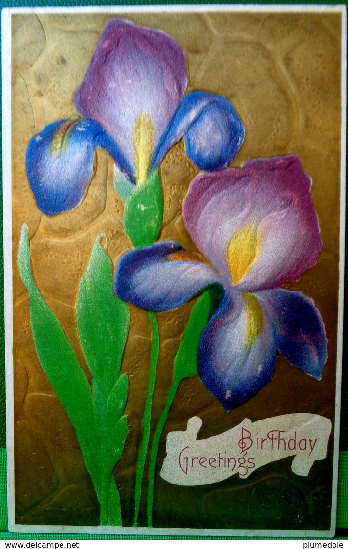 CPA FLEURS ,gaufrée , 2 IRIS Sur FOND Doré , BLUE PURPLE IRISE FLOWERS Golden Back Embossed OLD PC - Blumen