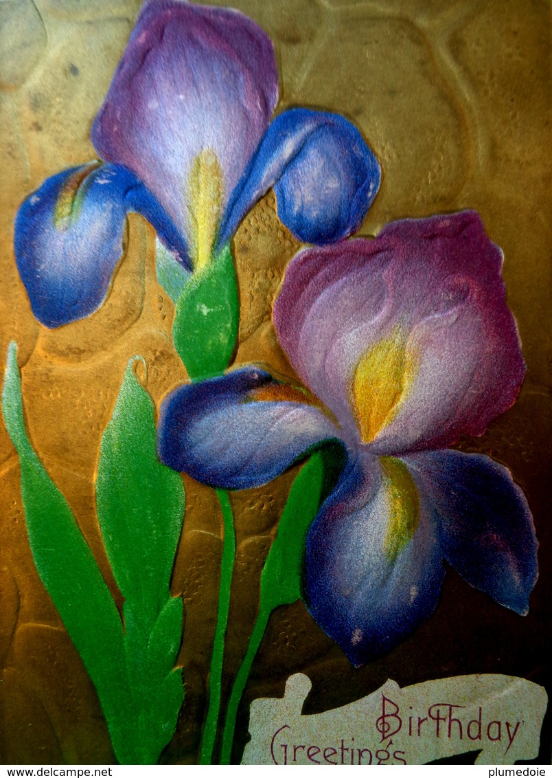 CPA FLEURS ,gaufrée , 2 IRIS Sur FOND Doré , BLUE PURPLE IRISE FLOWERS Golden Back Embossed OLD PC - Blumen