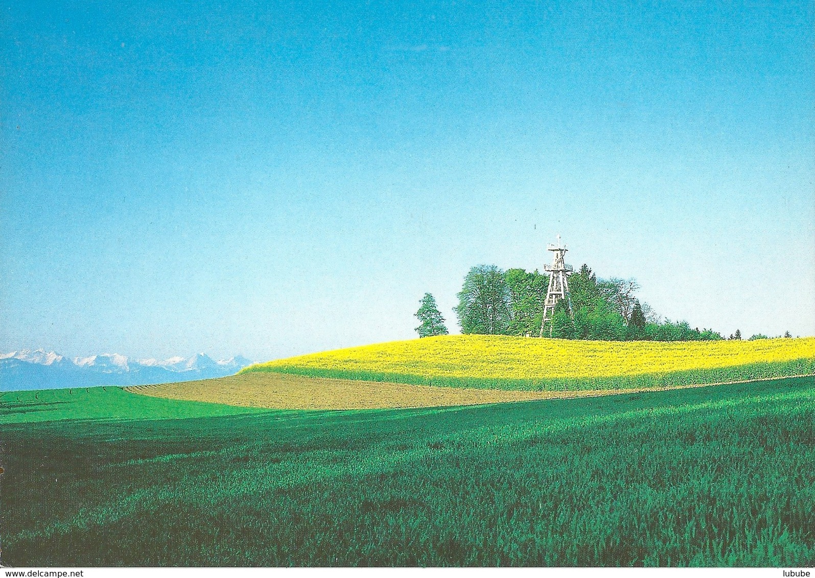 Reinach - Aussichtsturm        Ca. 1980 - Reinach