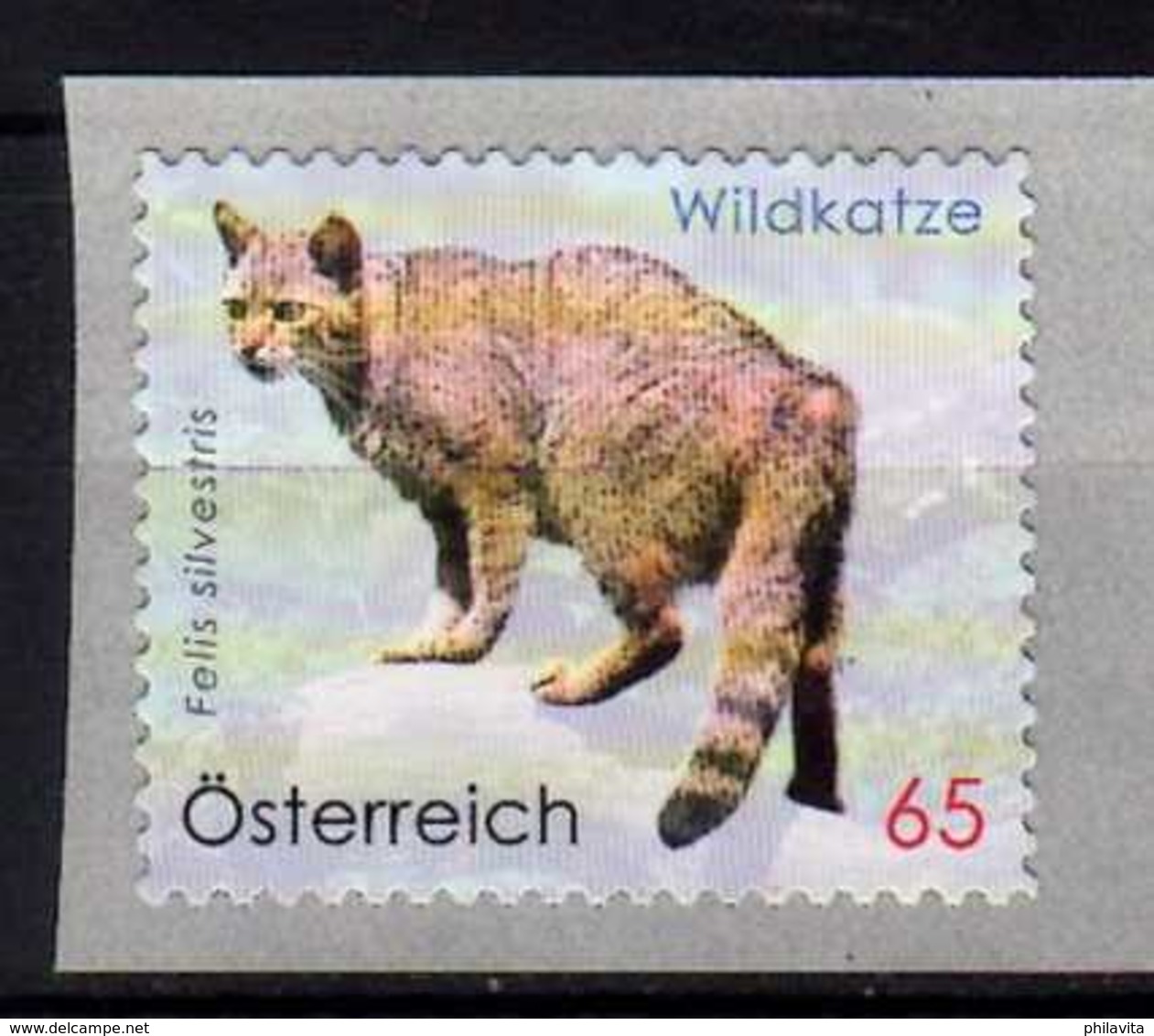 2010 Austria -Animal Protection - European Wild Cat - 1 V S.adhesive  MNH** MiNr. 2849 - Raubkatzen