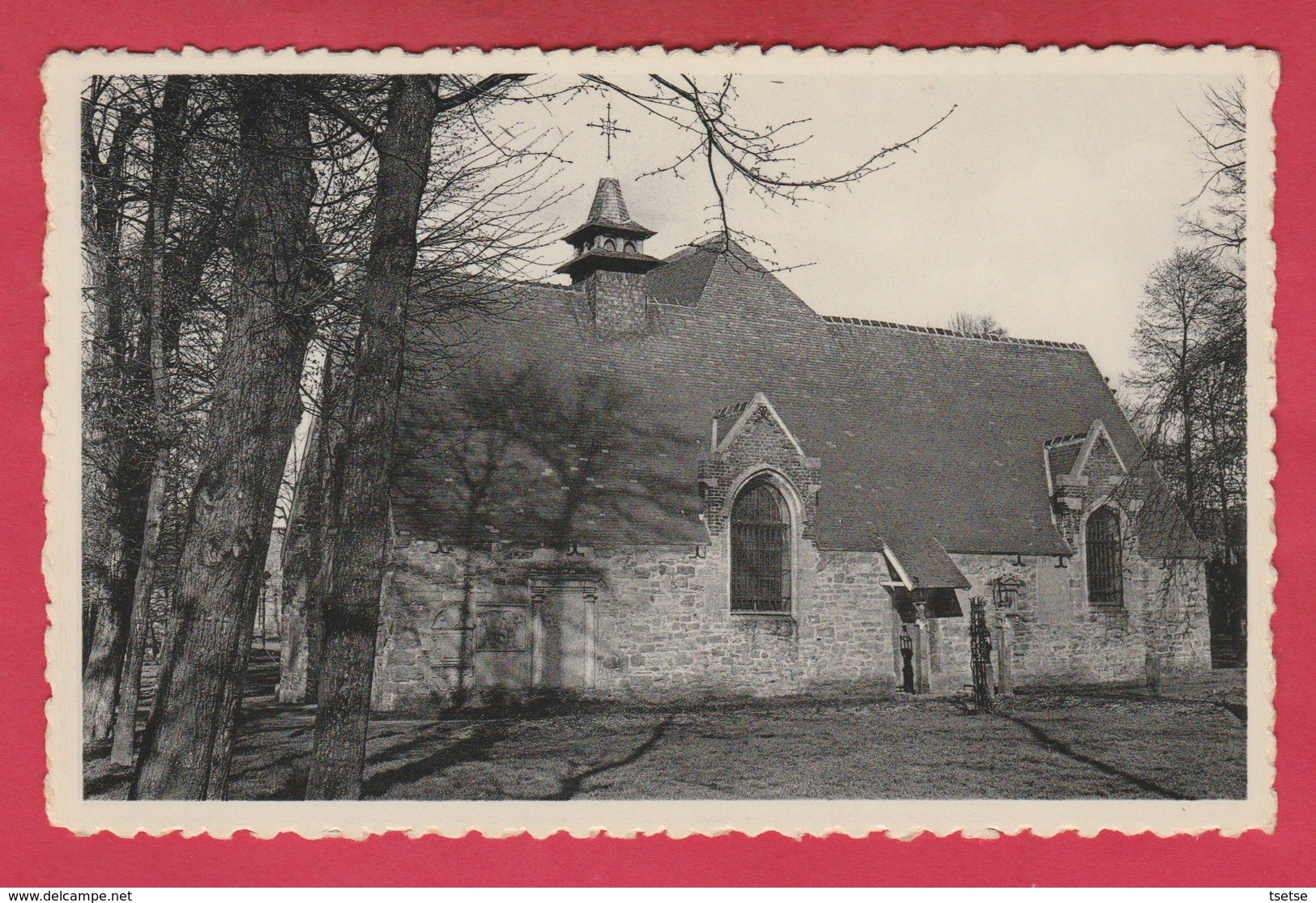 Soignies - Le Vieux Cimetière ... Le Museum ( Voir Verso ) - Soignies