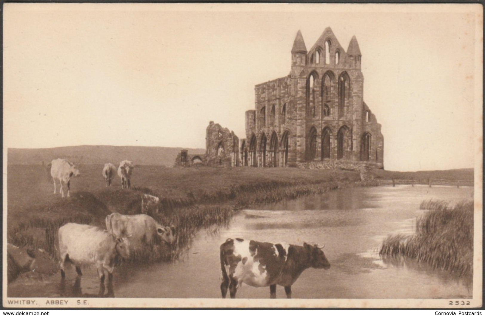 South East, Abbey, Whitby, Yorkshire, C.1920s - Photochrom Postcard - Whitby