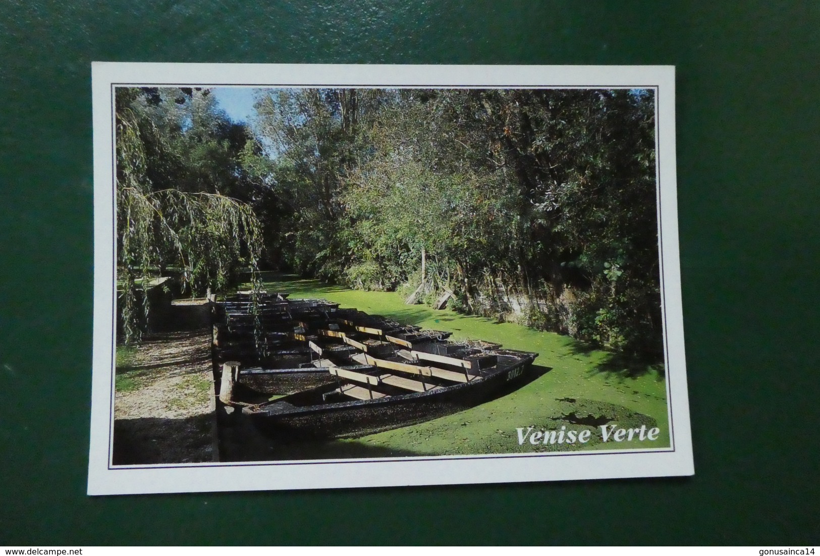 U 4 ) LE MARAIS POITEVIN  LA VENISE VERTE  PHOTO J ALIX - Autres & Non Classés