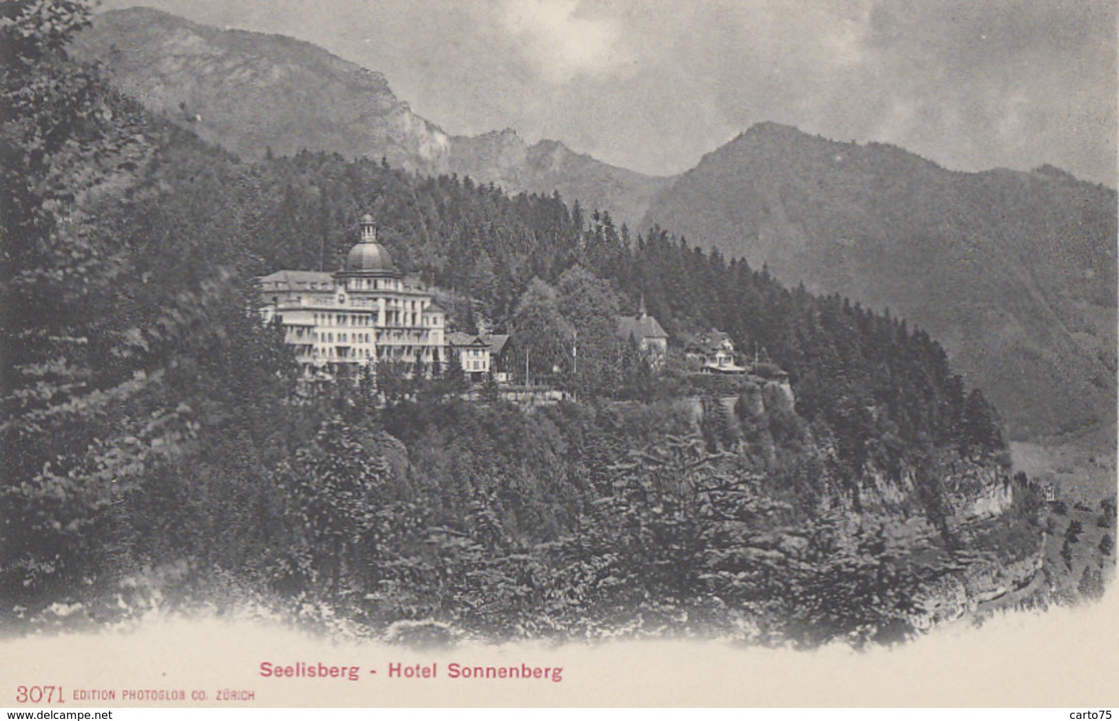 Suisse - Seelisberg - Hotel Sonnenberg - Seelisberg