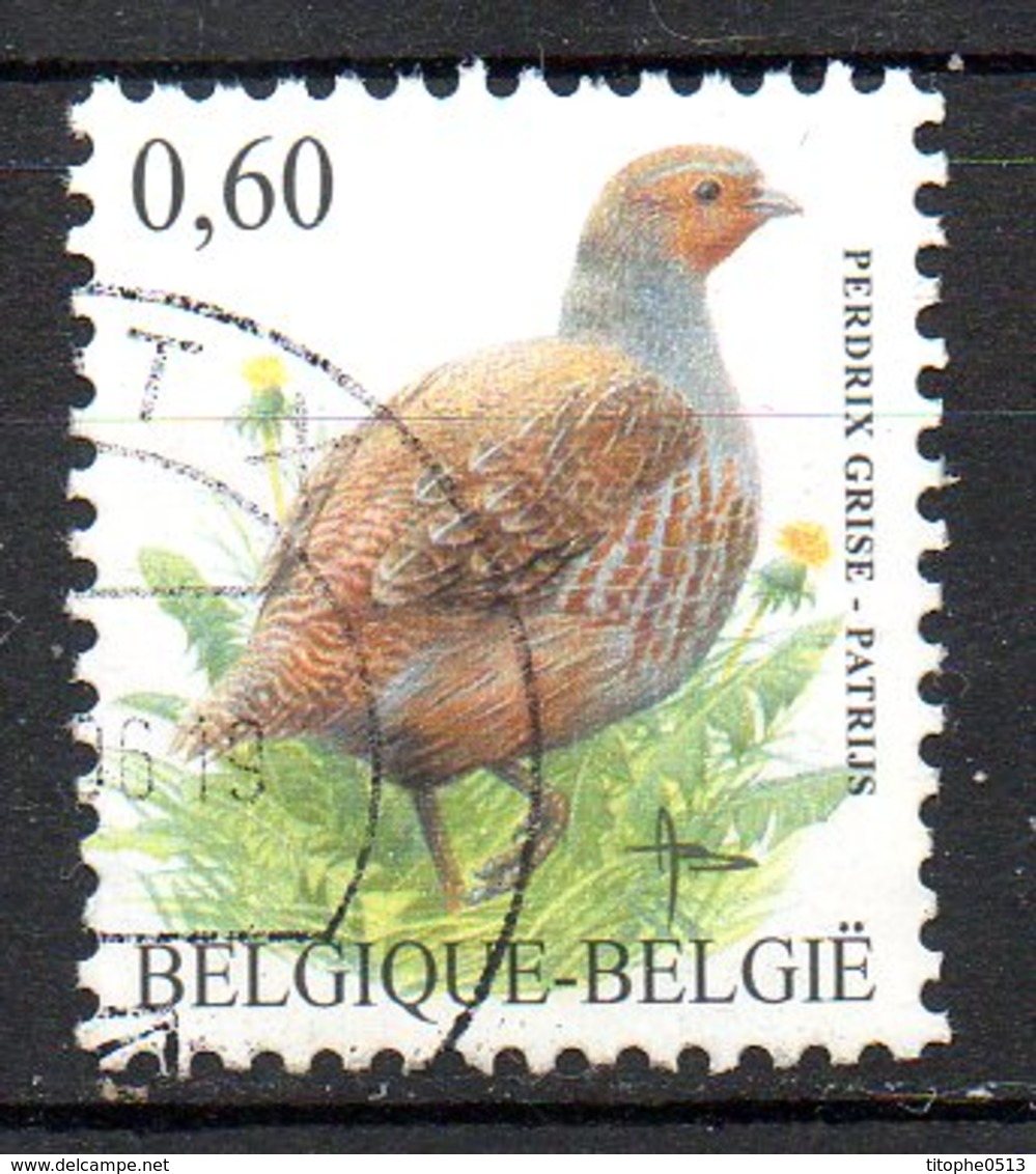 BELGIQUE. Timbre Oblitéré De 2005. Perdrix. - Grey Partridge