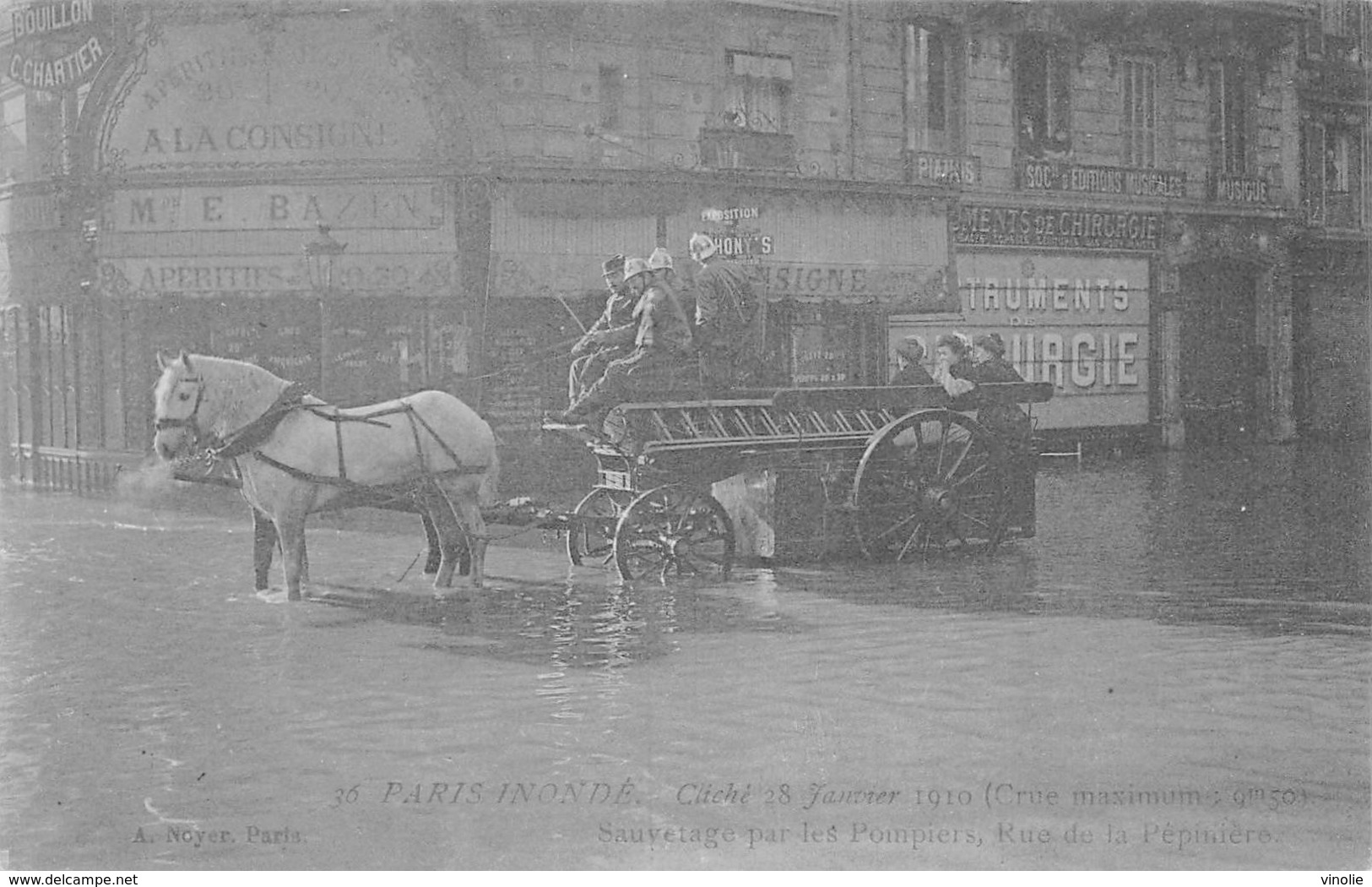 20-857 : SAUVETAGE PAR LES POMPIERS  PARIS RUE DE LA PEPINIERE. VOITURE CHEVAL ATTELEE.  CHEVAUX. - Sapeurs-Pompiers