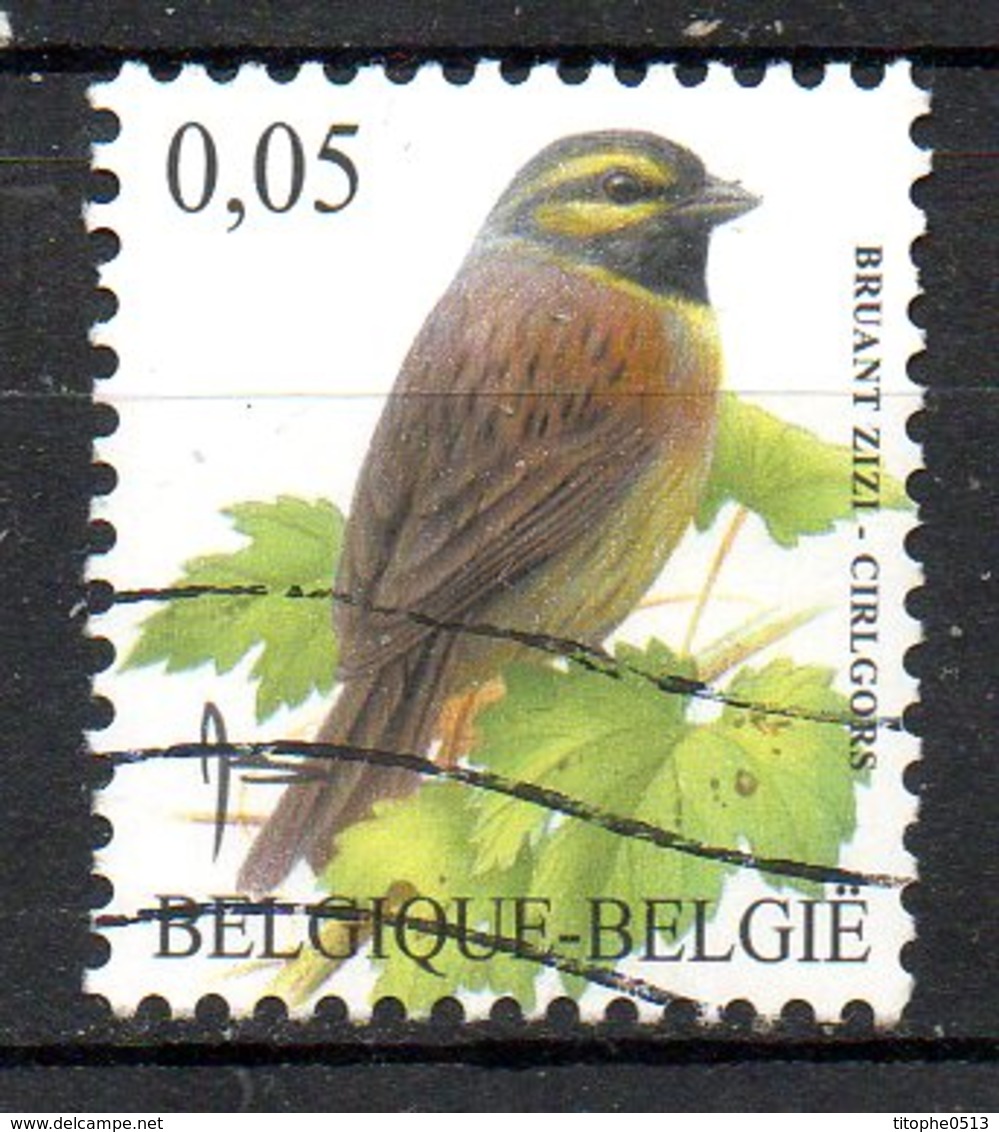 BELGIQUE. Timbre Oblitéré De 2005. Bruant Zizi. - Songbirds & Tree Dwellers