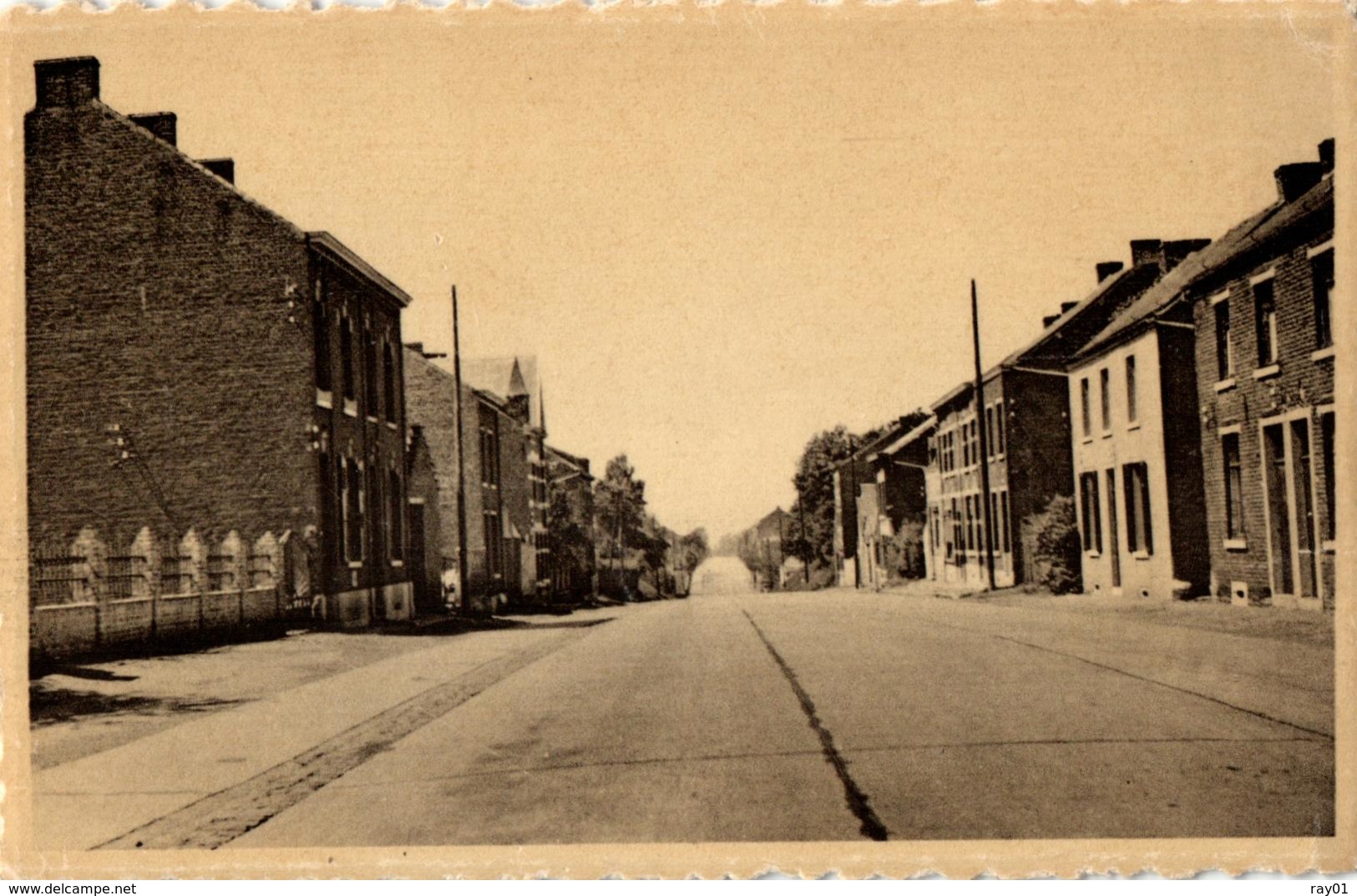 BELGIQUE - HAINAUT - BINCHE - EPINOIS - Coin Du Bois. - Binche