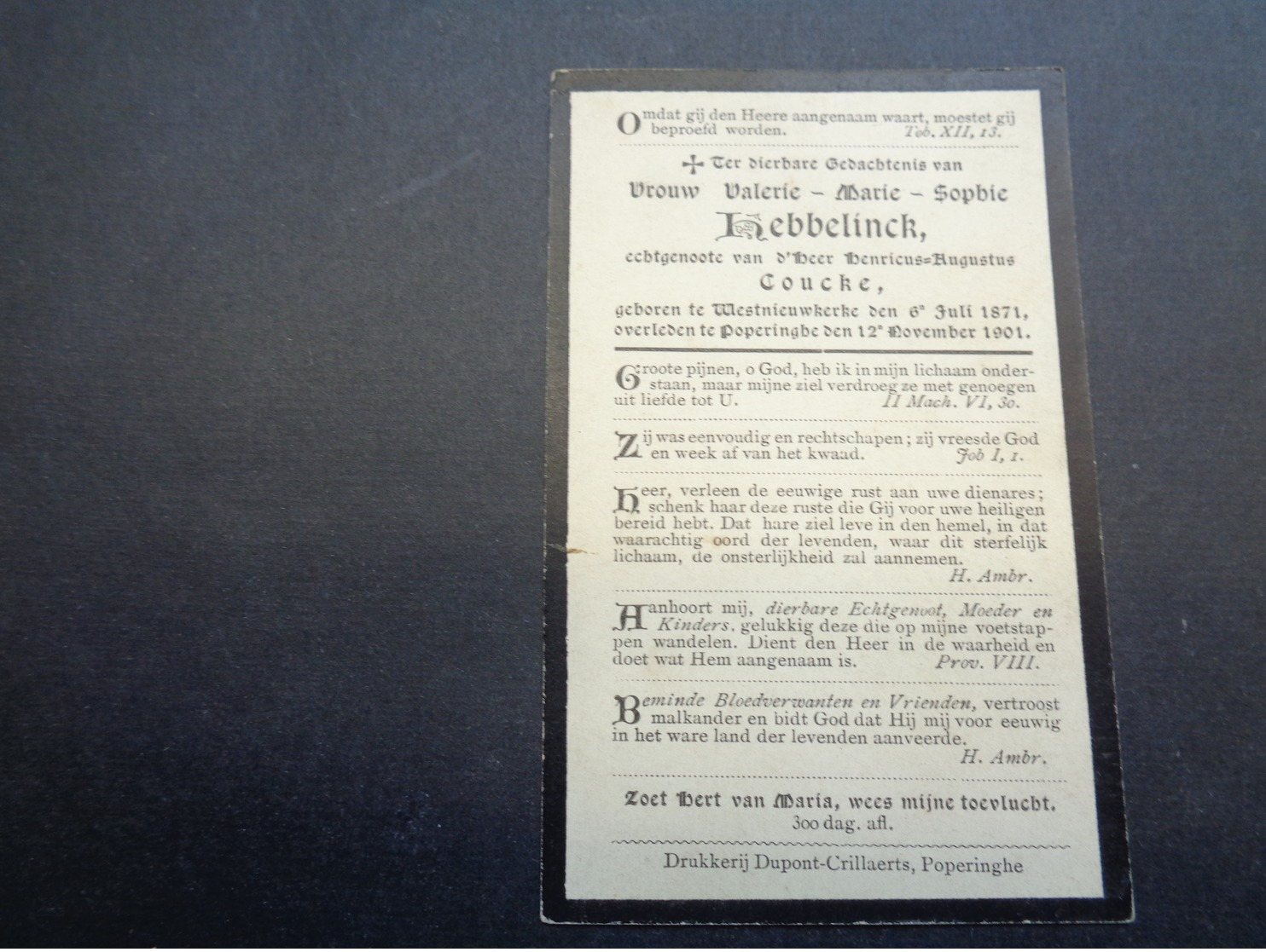 Doodsprentje ( 25 )  Hebbelinck / Coucke  -  Westnieuwkerke   Poperinghe  Poperinge  1901 - Avvisi Di Necrologio