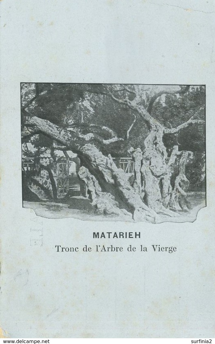 EGYPT - MATARIEH - TRONE DE L'ARBRE DE LA VIERGE - El Matareya