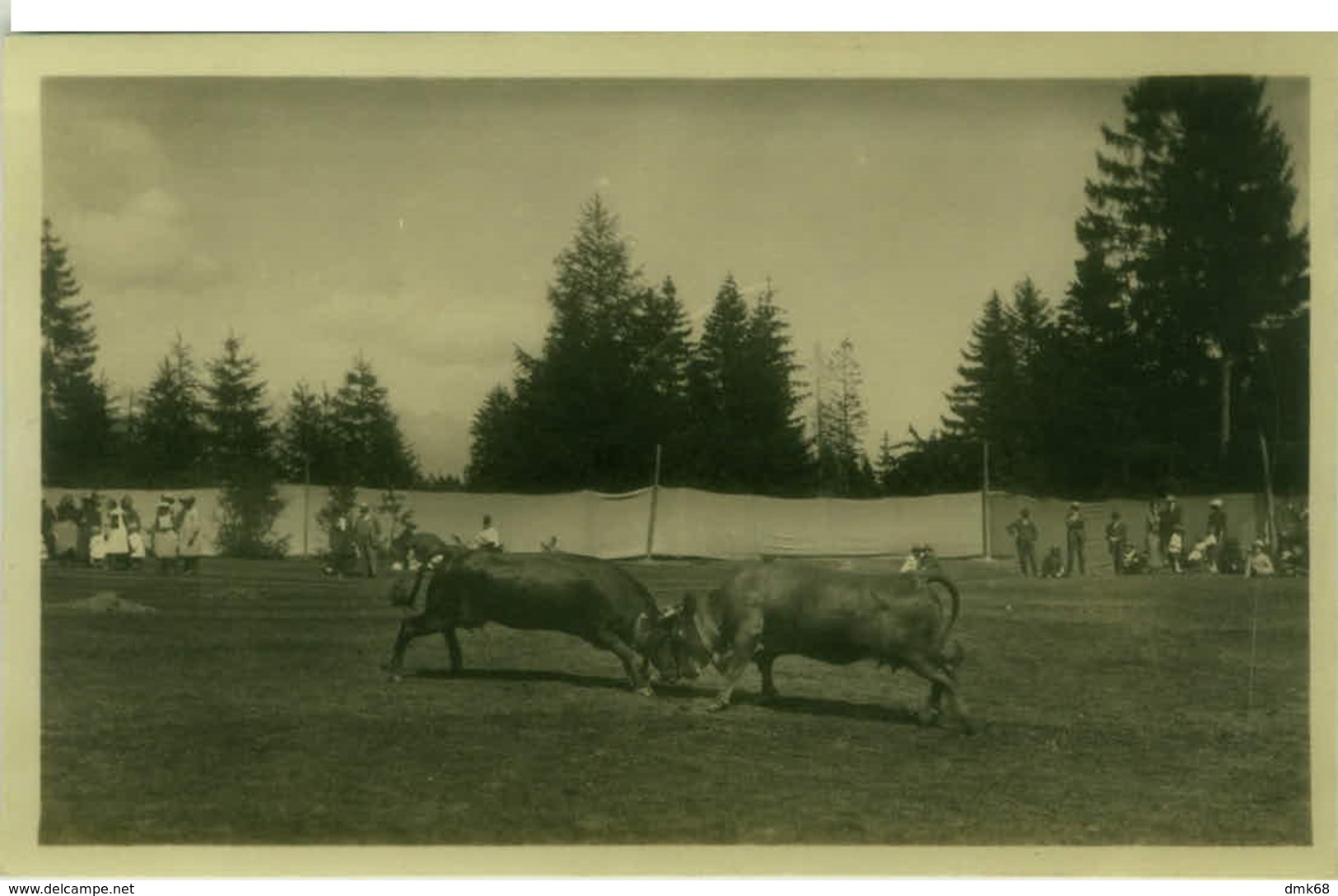 SWITZERLAND - CRANS / MONTANA - COMBAT DE REINES - PHOTO CH. DUBOST - 1930s ( 7124) - Crans-Montana