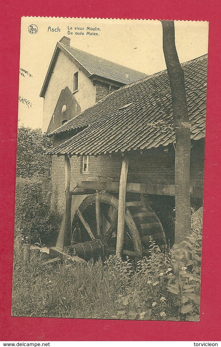 C.P. As  = De  Oude Molen - As