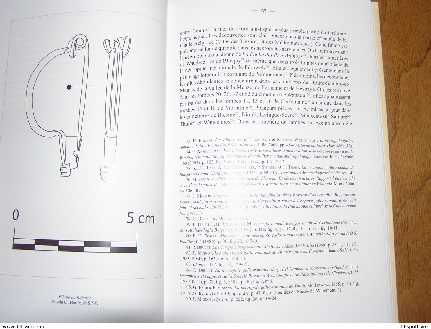 ANNALES DE LA SOCIETE ARCHEOLOGIQUE DE NAMUR Tome 86 2012 Régionalisme Archéologie Flavion Falmagne Matagne Meux Rhisnes