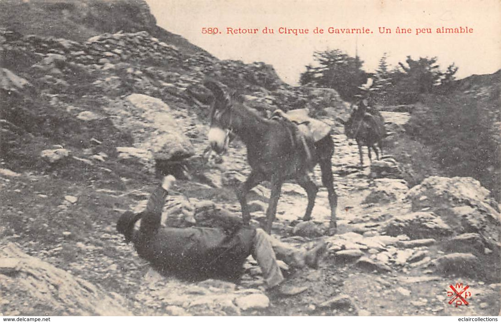 Gavarnie       65         Retour Du Cirque . Un âne Peu Aimable      (voir Scan) - Gavarnie