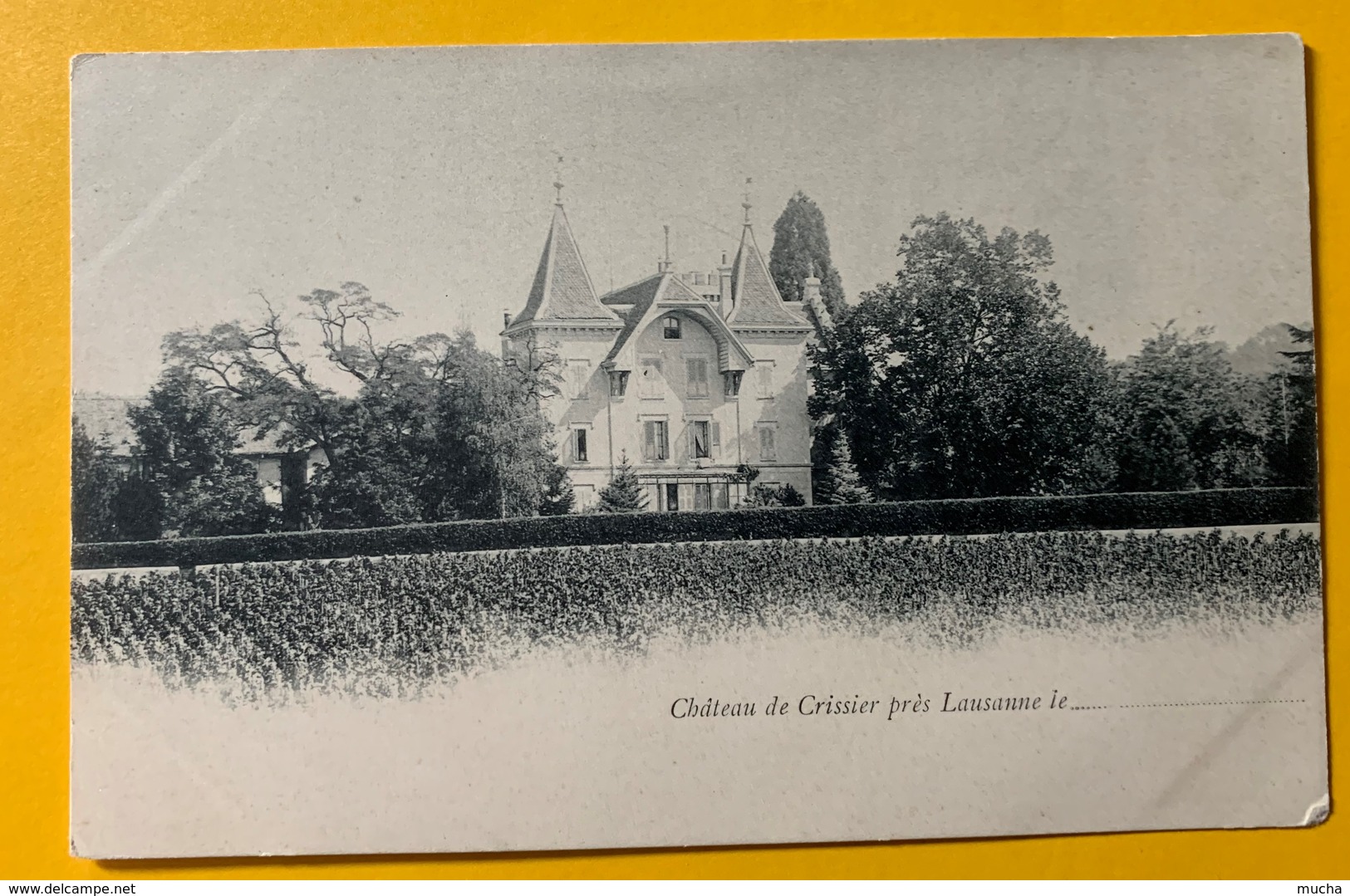 9970 -  Château De Crissier Près Lausanne - Crissier