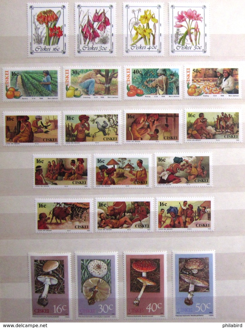 CISKEI               Timbres De 1988          N° 127/148            NEUF** - Ciskei