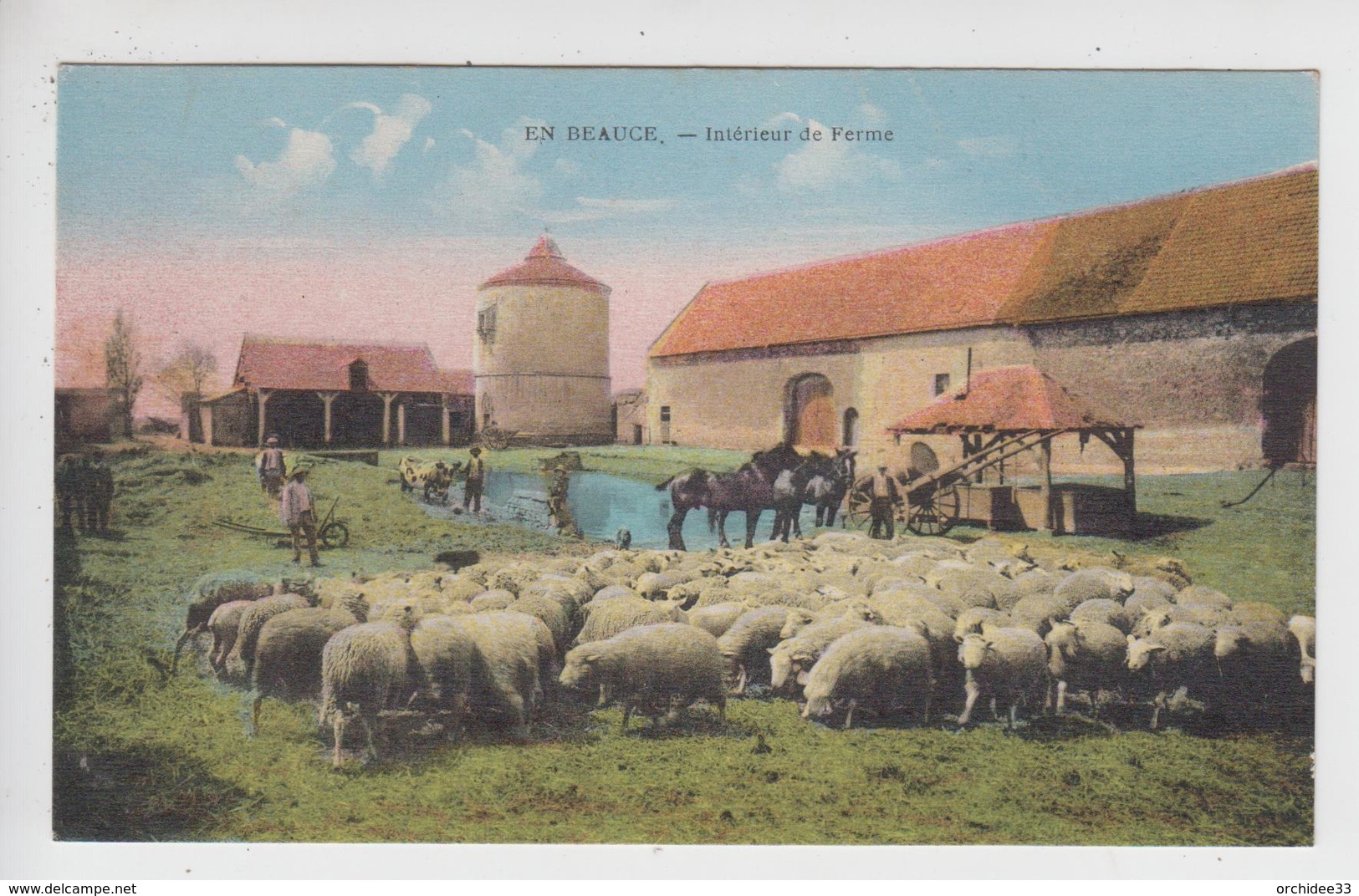 CPA En Beauce - Intérieur De Ferme - Ferme Du Plessis à St-Peravy-la-Colombe (troupeau De Moutons, Chevaux ...) - Autres & Non Classés