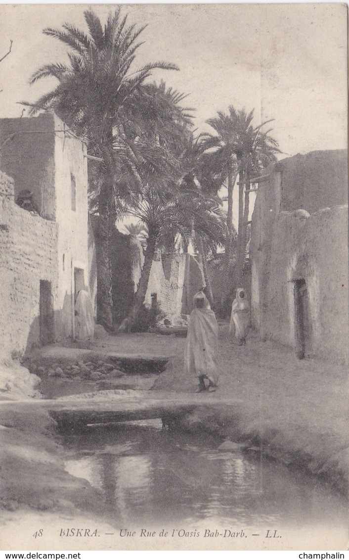 Algérie - Biskra - Une Rue De L'Oasis Bab-Darb - Biskra