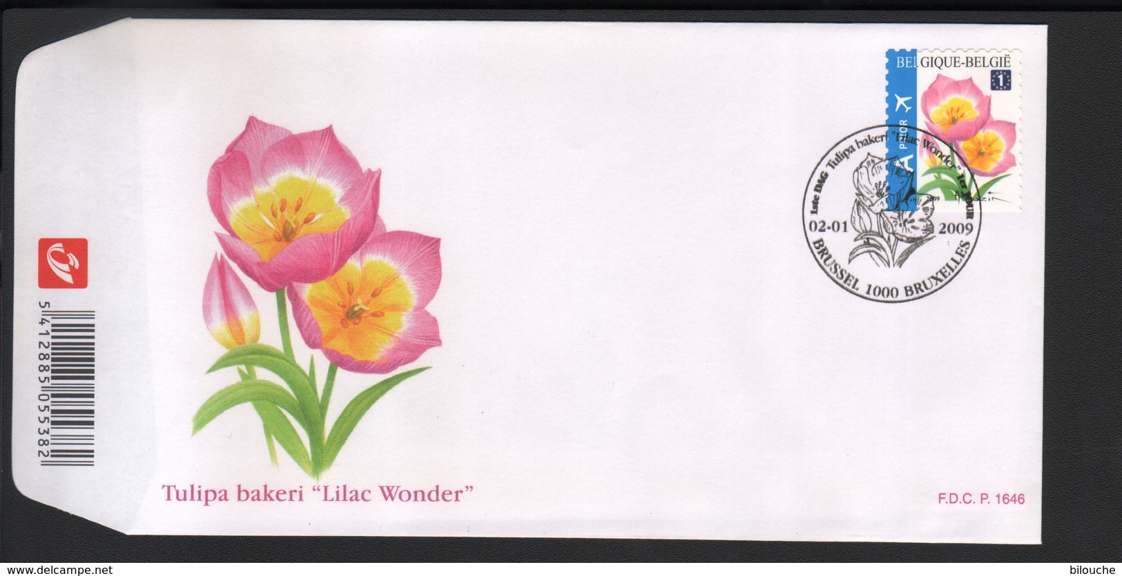 BUZIN / FDC / COB 3872 / TULIPE BAKERI LILAC WONDER - 1985-.. Oiseaux (Buzin)