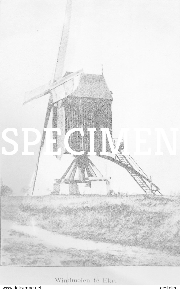 Foto Windmolen - Eke - Nazareth