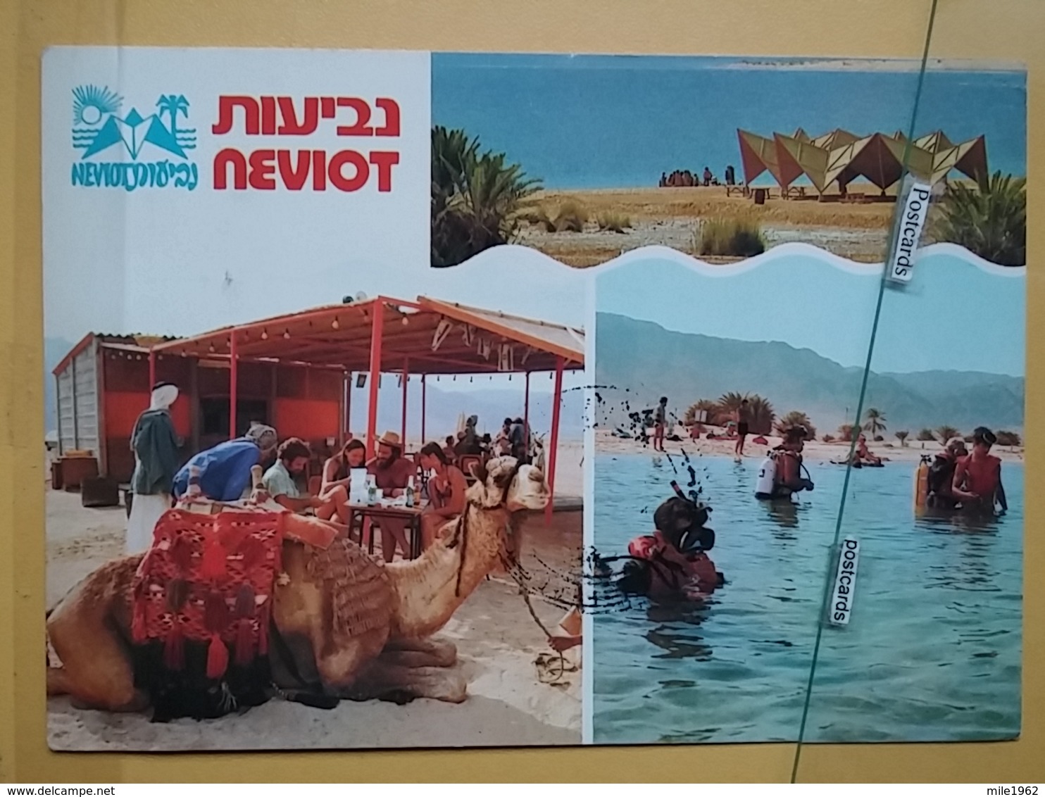 Kov 511-1 - ISRAEL, NEVIOT, PLONGEE, DIVING, DIVE, CAMEL - Israele