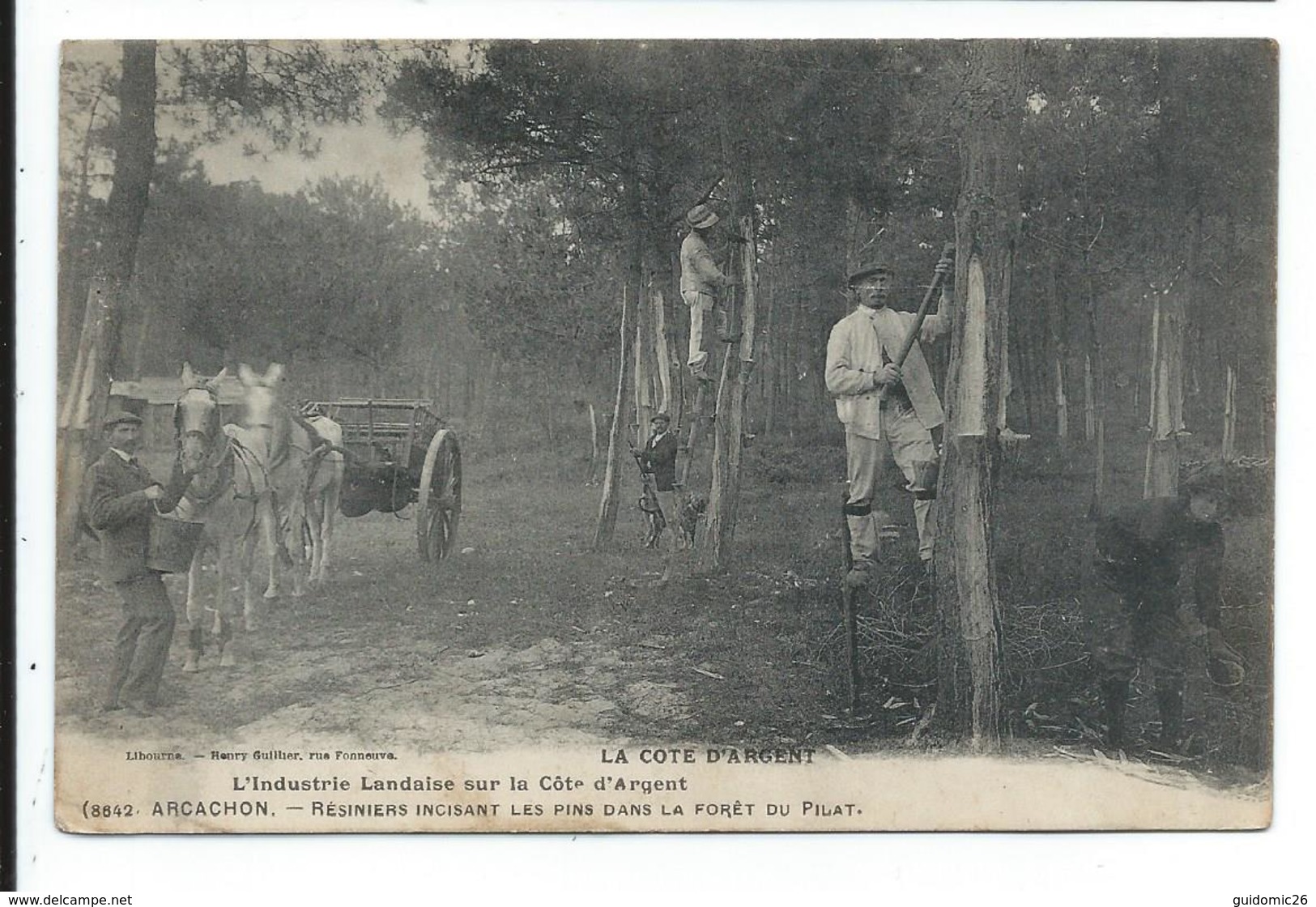 Arcachon Resigniers Dans La Foret Du Pilat - Arcachon