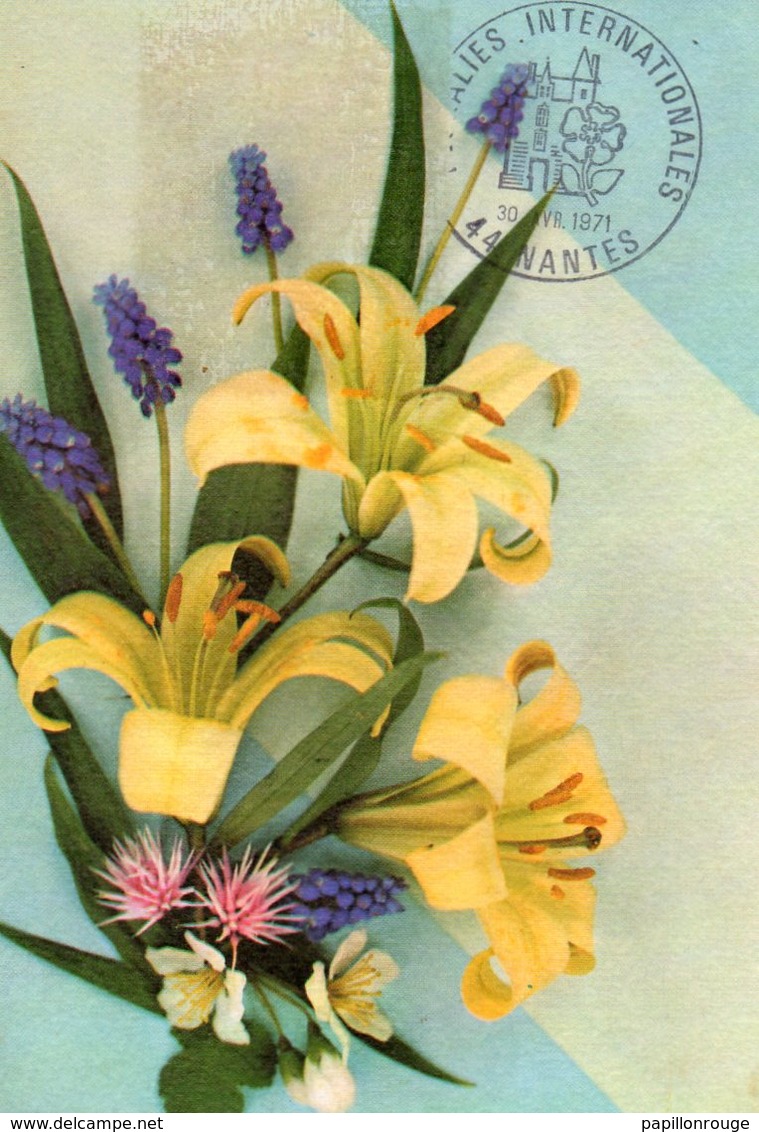 Carte Postale Floralies Internationales De Nantes, 1971. Voir Scan Du Verso. - Flowers