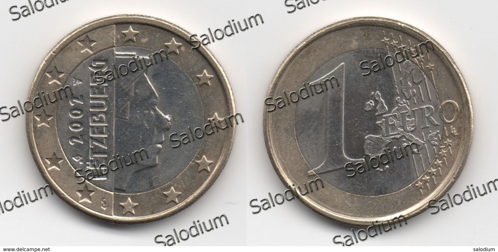 1 Euro 2002 - Letzebuerg Luxembrug Lussemburgo - Variante Errore Moneta - Error Coin - Naso Nose (40018) - Variétés Et Curiosités