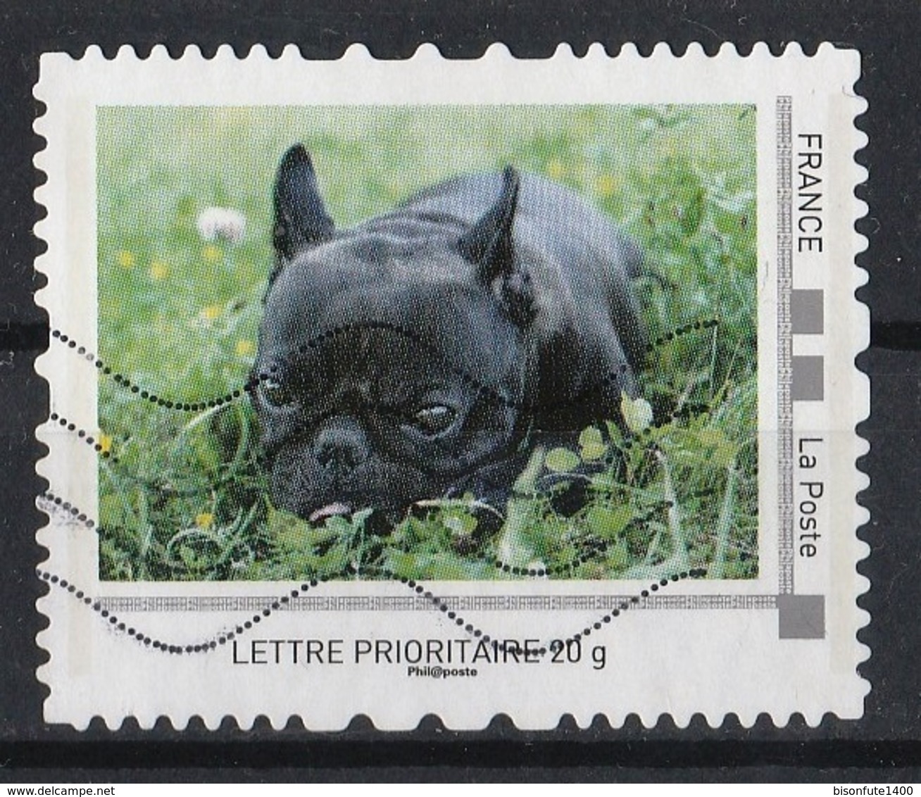 Collector Chiens De Compagnie 2013 : Jeune Bouledogue. - Collectors