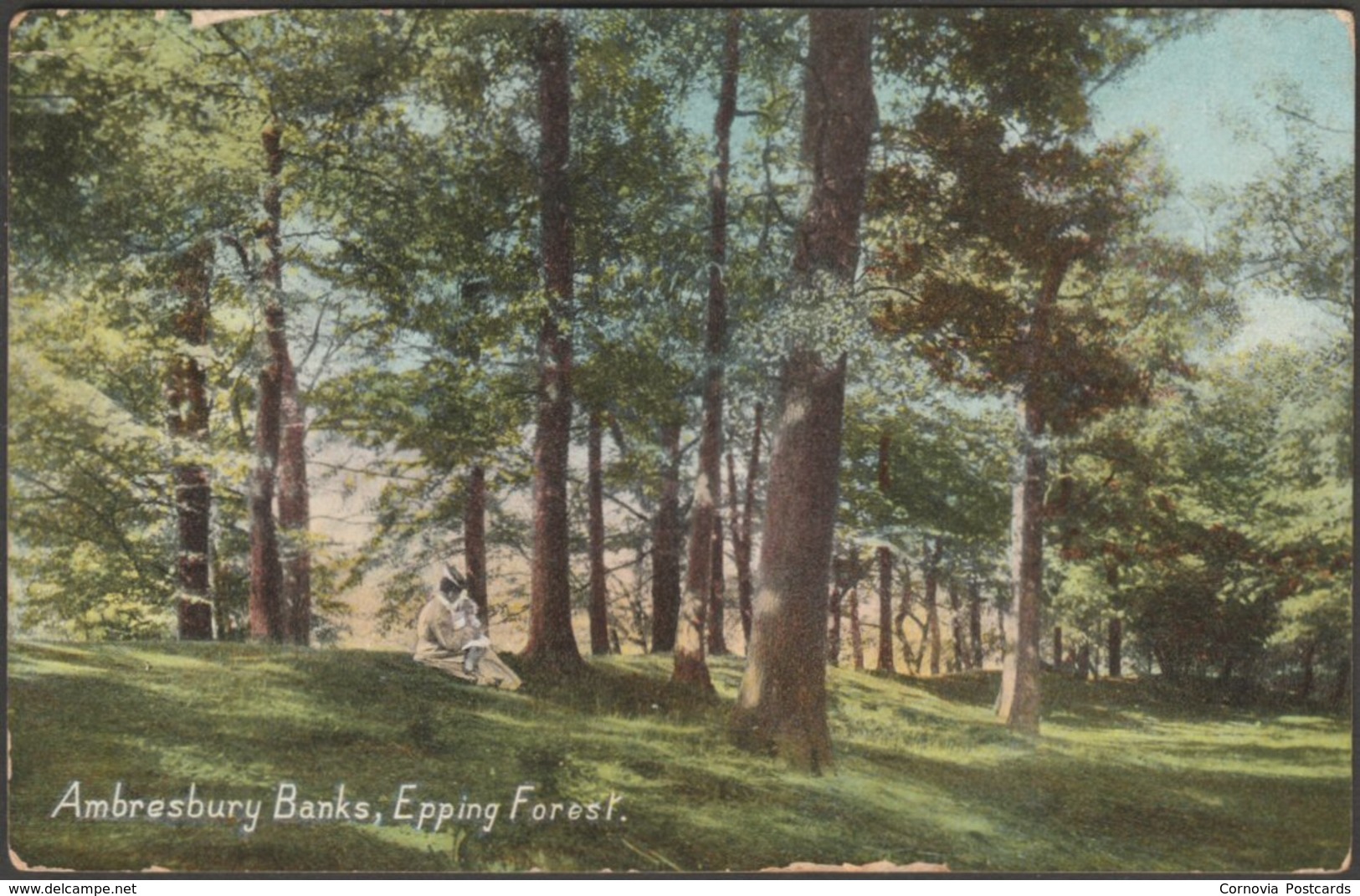 Ambresbury Banks, Epping Forest, Essex, 1908 - Wildt & Kray Postcard - Other & Unclassified