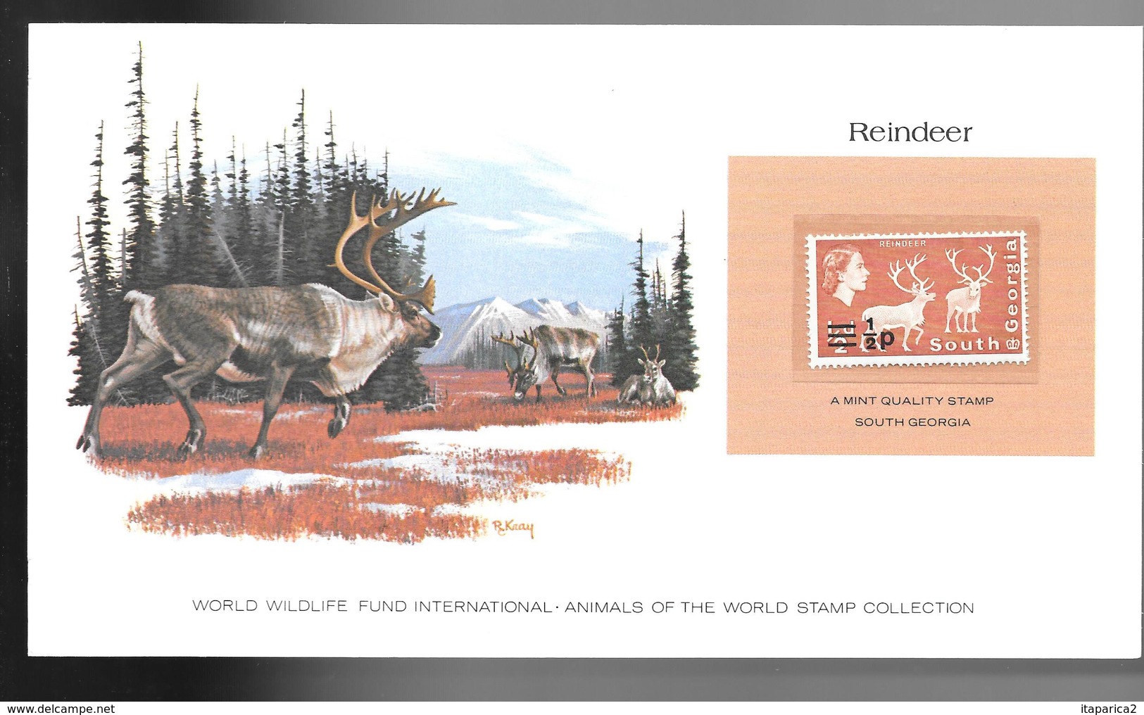 GEORGIE DU SUD  1963 SUPERBE CARTE COLECTION WWF REINDEER RENNE   Avec Timbre Neuf **sans Charnière /  MA06 - Géorgie