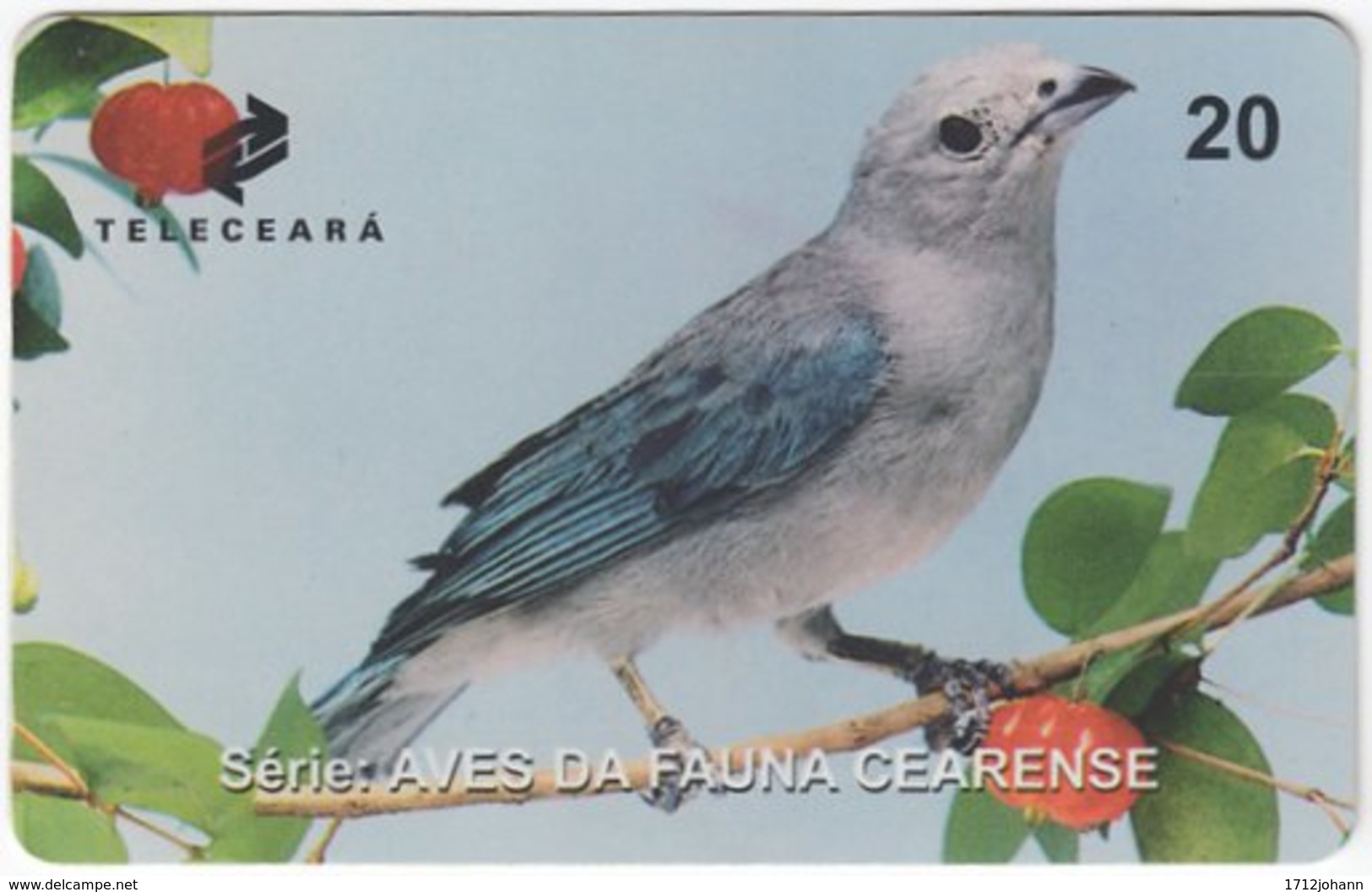 BRASIL J-507 Magnetic Teleceara - Animal, Bird - Used - Brasilien