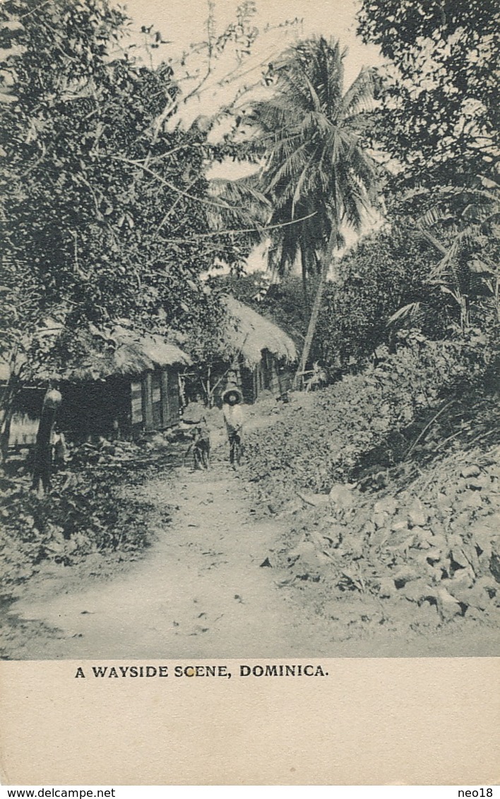 A Wayside Scene , Dominica  West Indian View Undivided Back  Edit Aspinall - Dominica