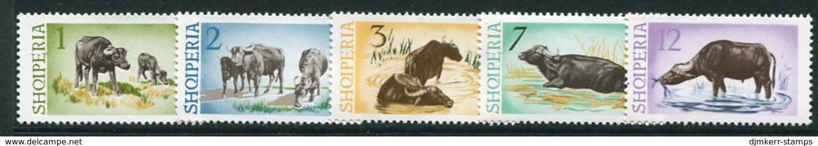 ALBANIA 1965 Water Buffalo MNH / **  Michel 921-25 - Albania