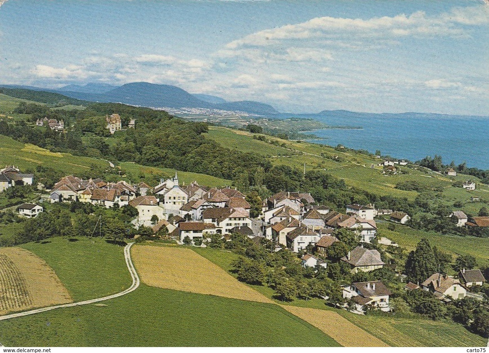 Suisse - Gorgier Et Chaumont - Lac De Neuchâtel - Gorgier