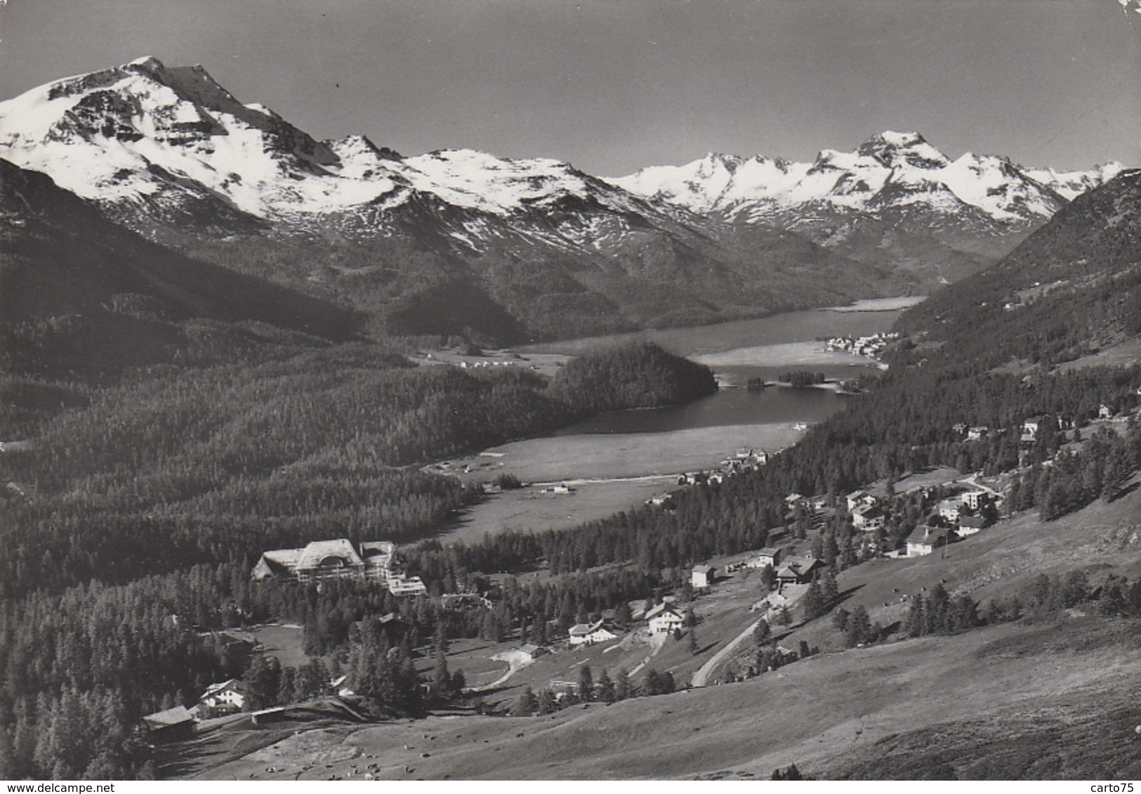 Suisse - Suvretta-Silvaplana - Vue D'ensemble - Silvaplana