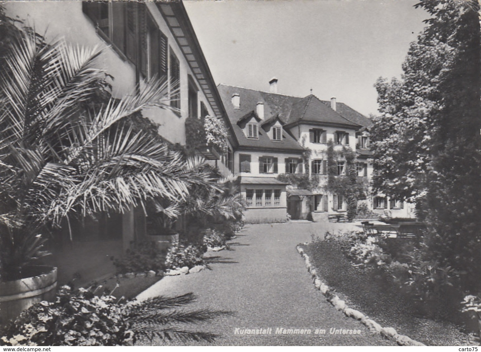 Suisse - Mammern Am Untersee - Kuranstalt - 1959 - Mammern