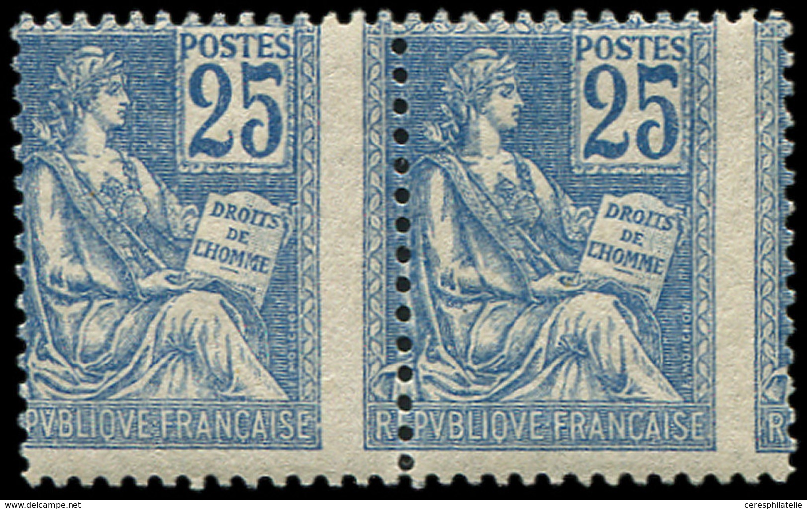 ** VARIETES - 118   Mouchon, 25c. Bleu, PAIRE Avec PIQUAGE à CHEVAL, TB. C - Unused Stamps