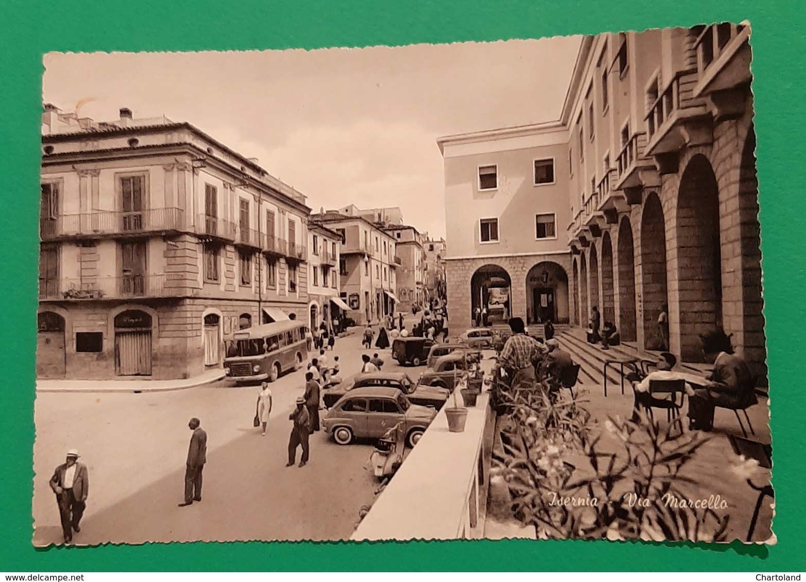 Cartolina Isernia - Via Marcello - 1965 - Isernia