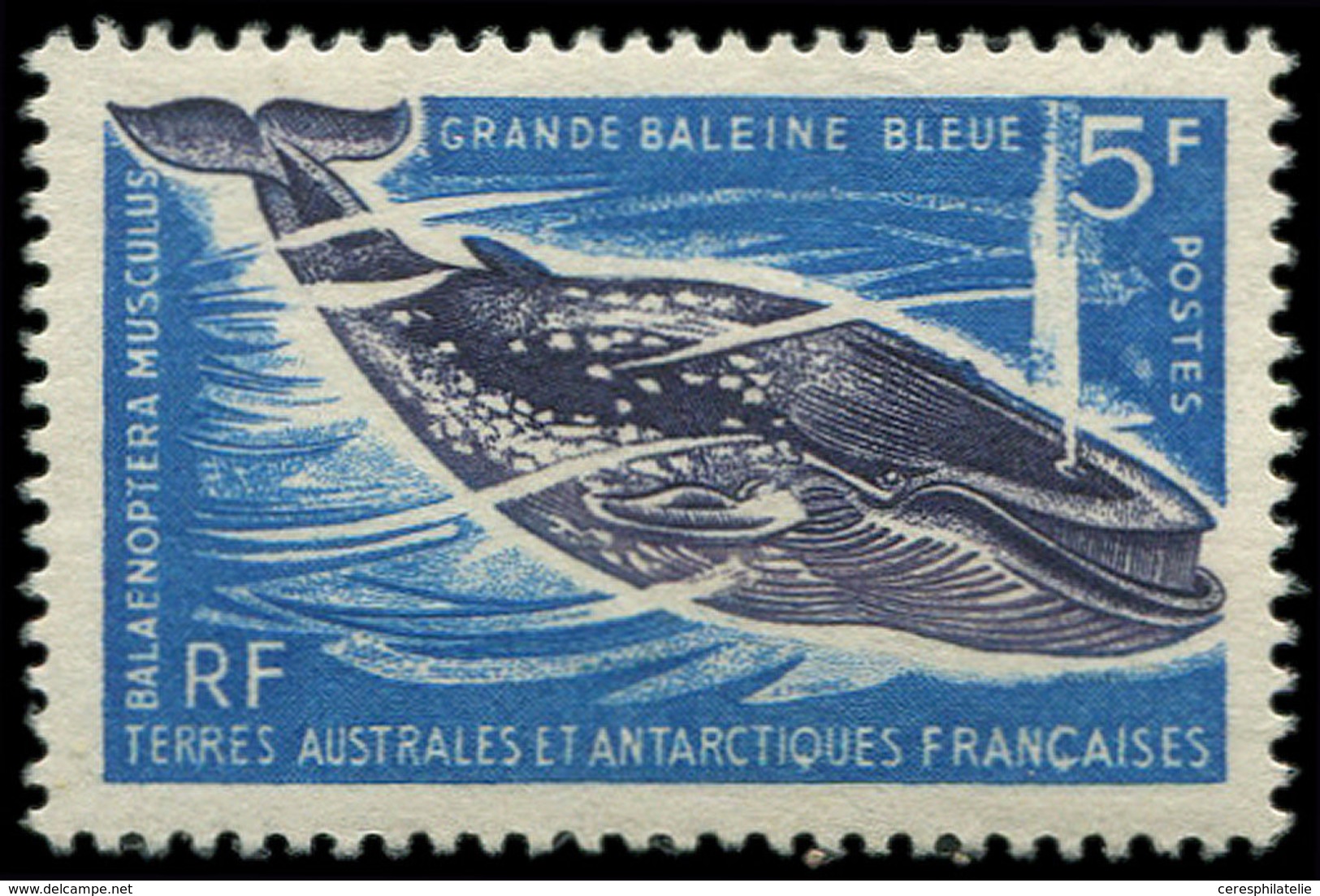 * T.A.A.F. 22 : Faune, 5f. Bleu Et Violet, TB - Unused Stamps
