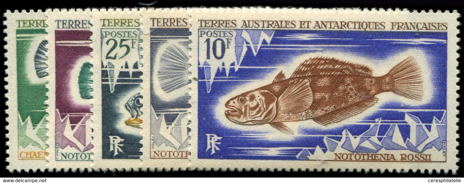 ** T.A.A.F. 34/38 : Poissons, La Série, TB - Unused Stamps