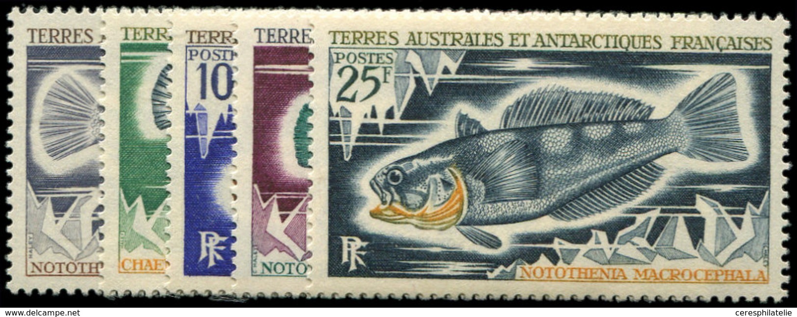 * T.A.A.F. 34/38 : Poissons, TB - Unused Stamps