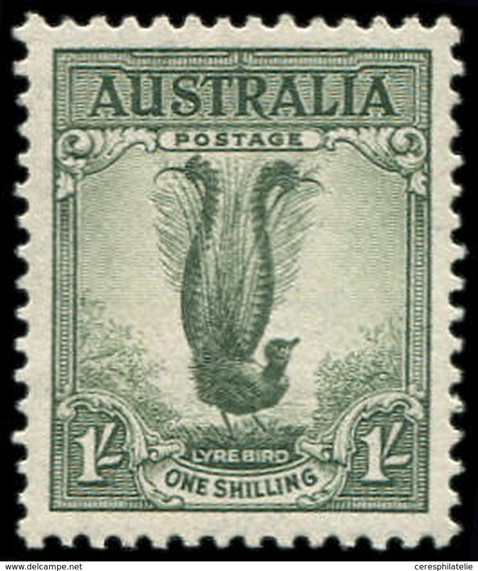 * AUSTRALIE 118B : Dentelé 13 1/2, TB - Other & Unclassified