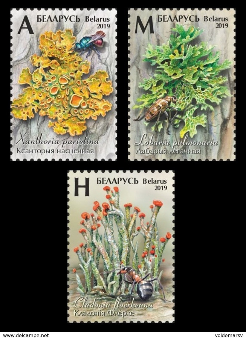 Belarus 2019 Mih. 1303/05 Flora. Mushrooms. Lichens MNH ** - Belarus