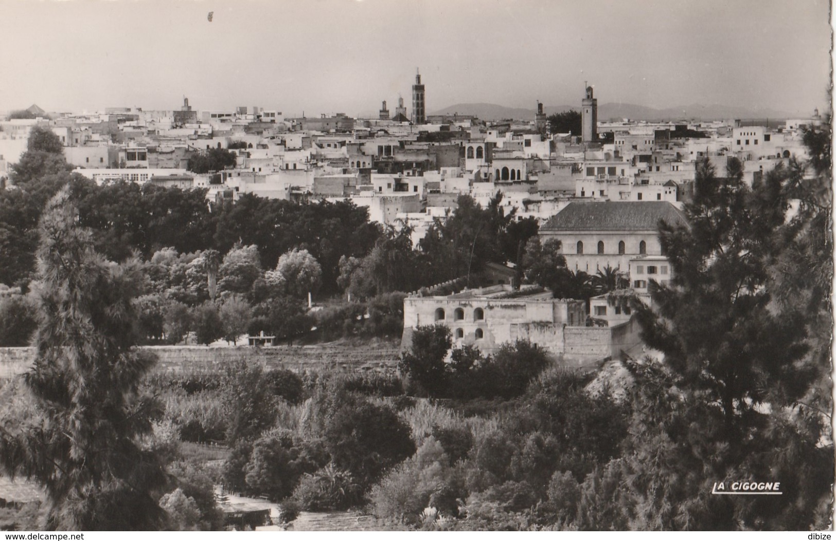 Carte Postale. Maroc. Meknès. La Médina Vue De L'Hôtel Transatlantique. Photo Véritable. - Hotels & Restaurants